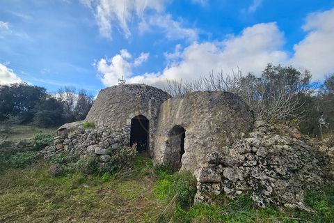Tomt i Martano, Lecce, Martano - € 55 000 | Ref: TR002 - foto 22